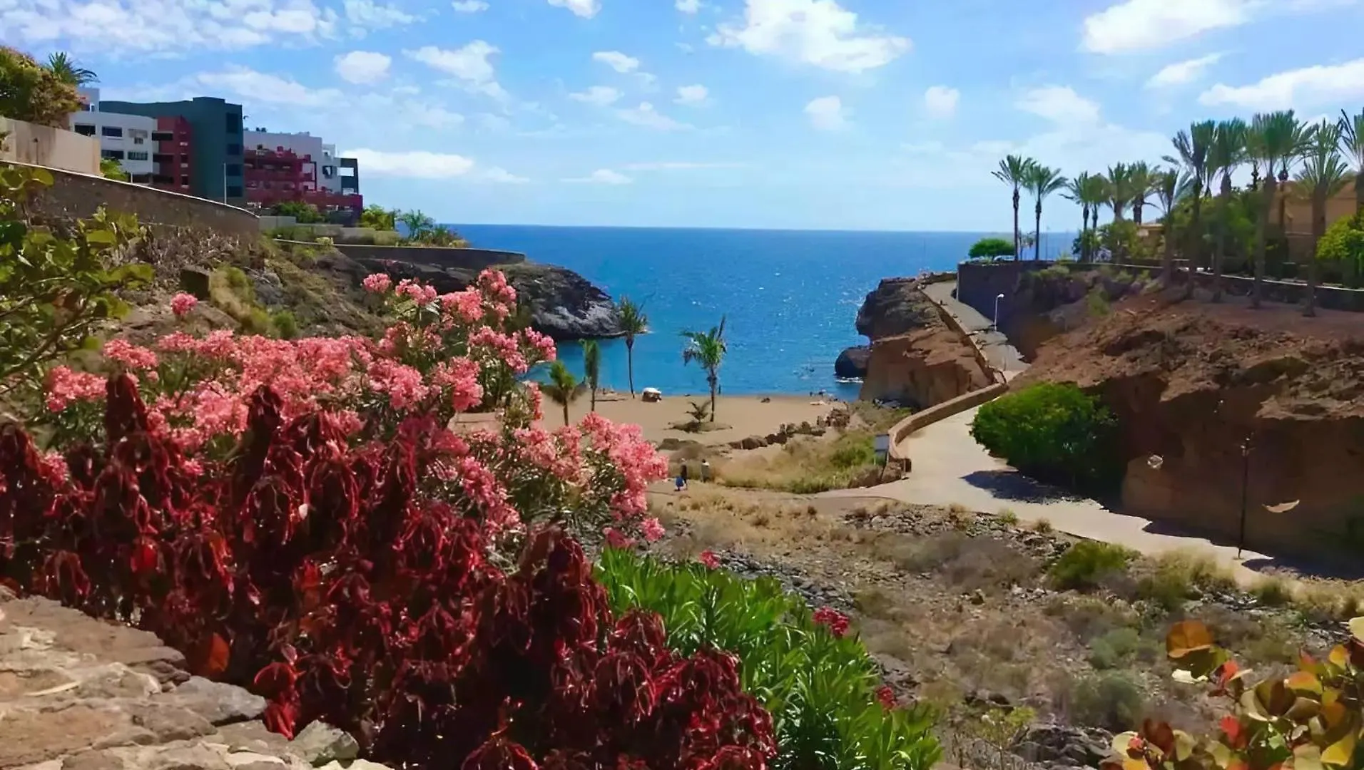 Skyline View Apartment - Free Private Parking Including & Guest Bonus Costa Adeje   Costa Adeje (Tenerife)